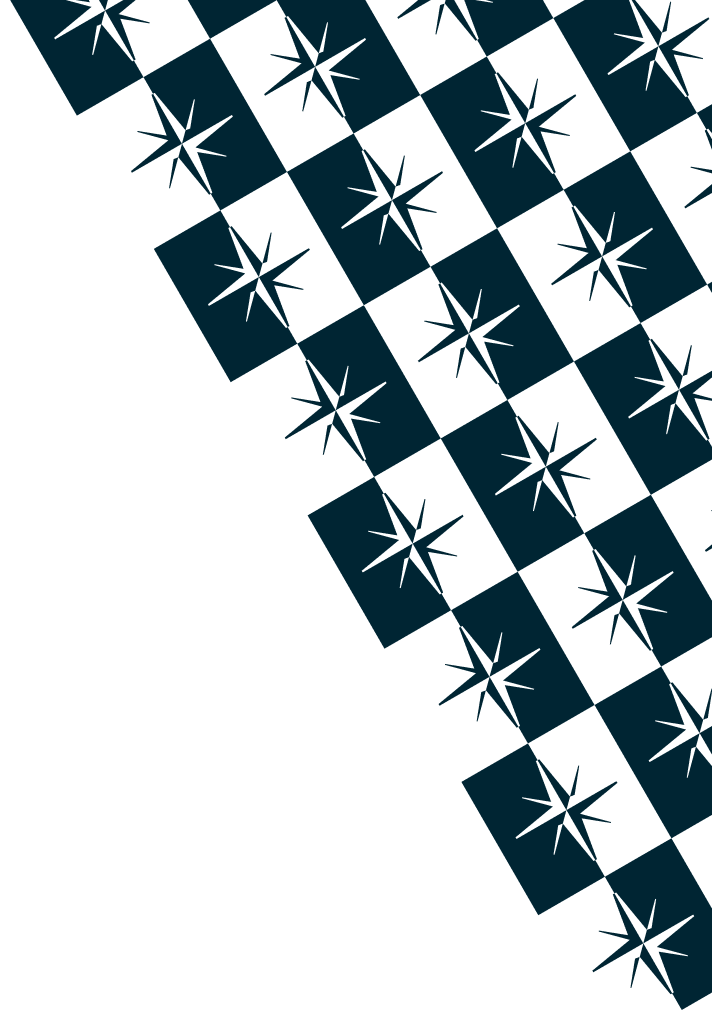 rejis pattern